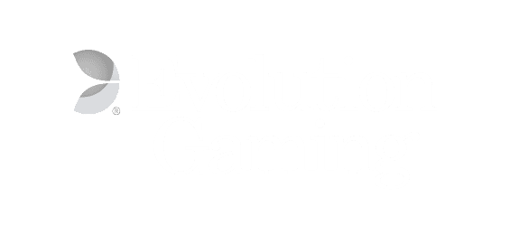 Partner 2